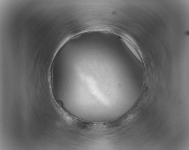 X0000064040907200602101421