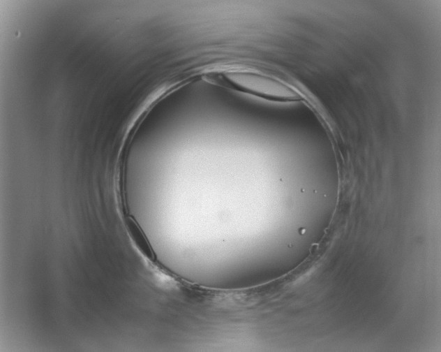 X0000064040909200602101421