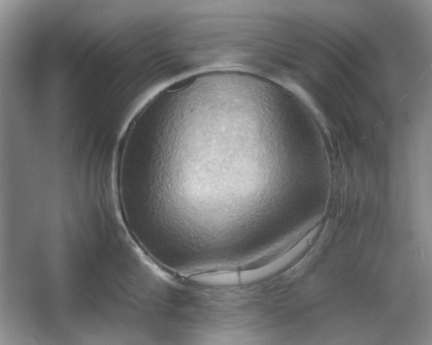 X0000064040910200602101421