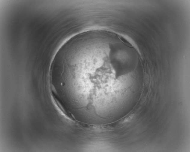 X0000064040911200602101421