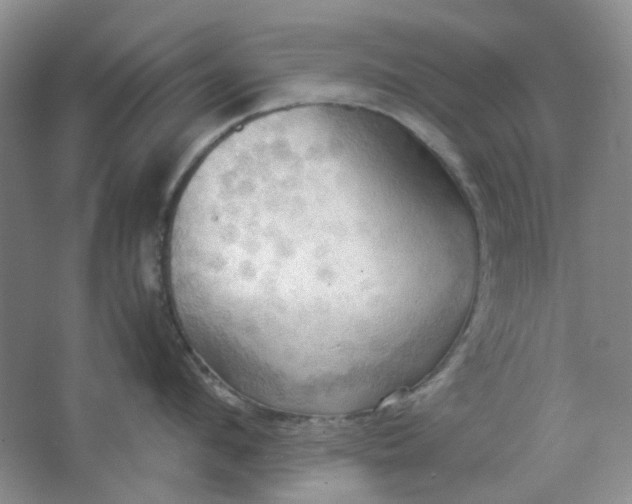 X0000064040912200602101421