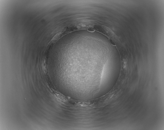 X0000064040915200602101420