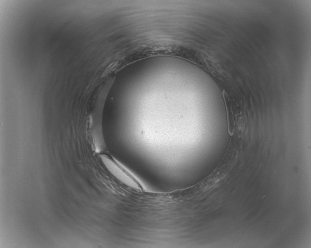 X0000064040916200602101420