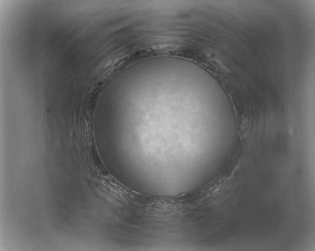 X0000064040917200602101420