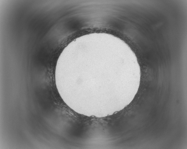 X0000064040918200602101420