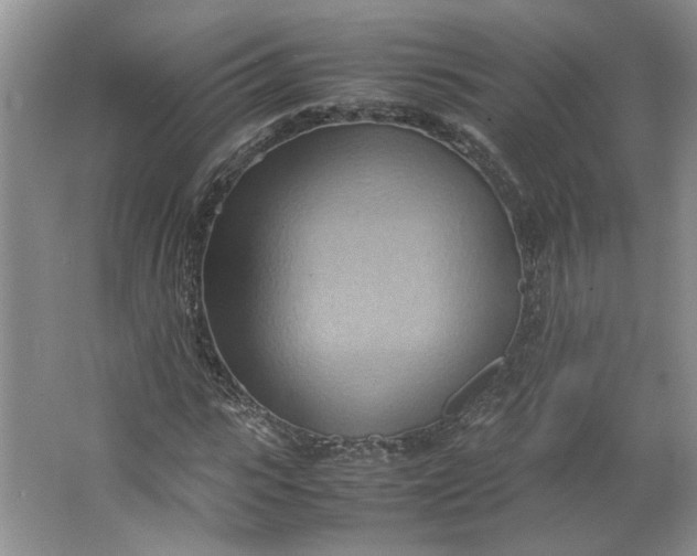 X0000064040919200602101420