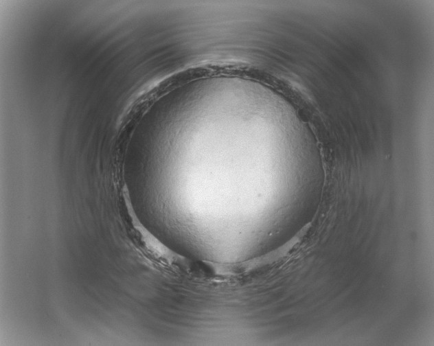 X0000064040920200602101420