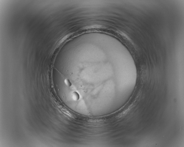 X0000064040921200602101420