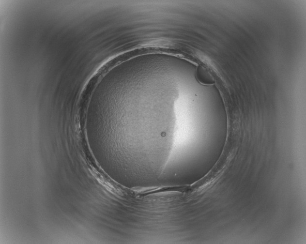 X0000064040923200602101421