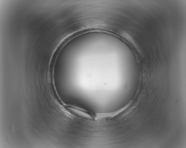 X0000064040924200602101421