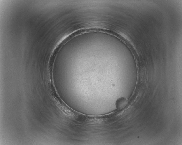 X0000064040925200602101421