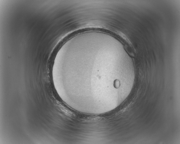 X0000064040926200602101421