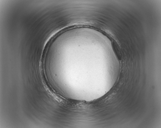 X0000064040928200602101421