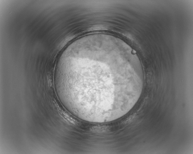 X0000064040929200602101421