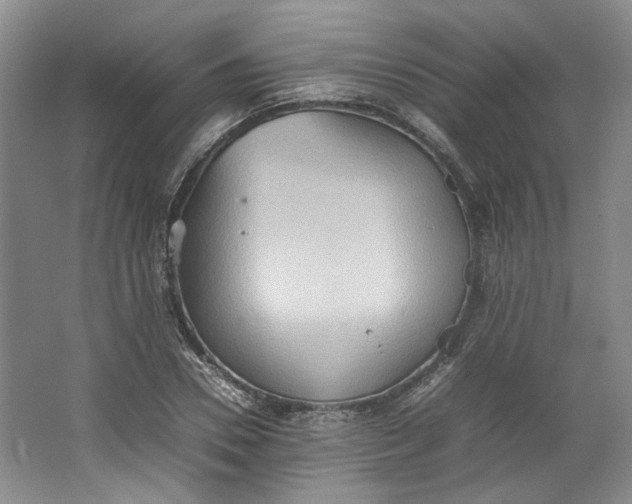 X0000064040930200602101421