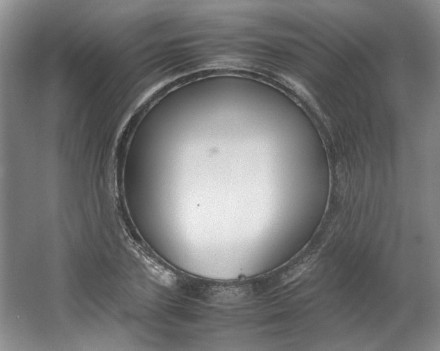 X0000064040931200602101421