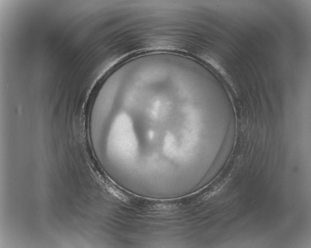 X0000064040933200602101421