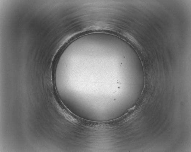 X0000064040934200602101421