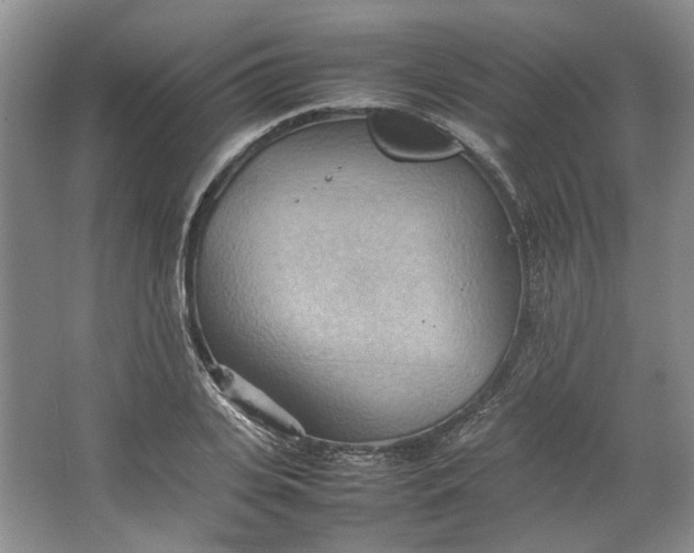 X0000064040935200602101421