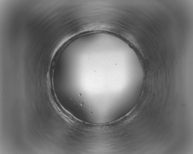 X0000064040936200602101421