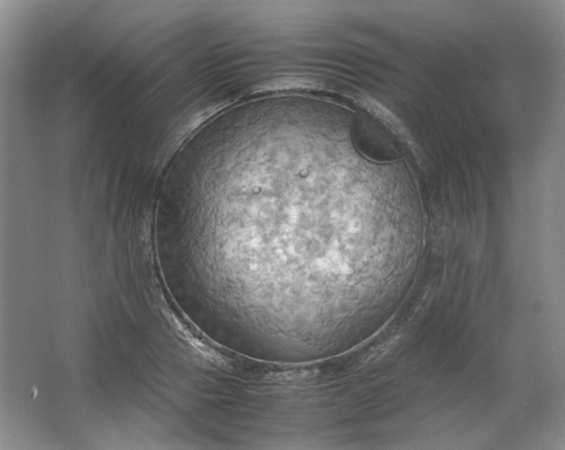 X0000064040937200602101421