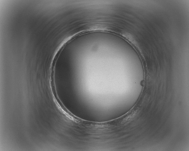 X0000064040941200602101421