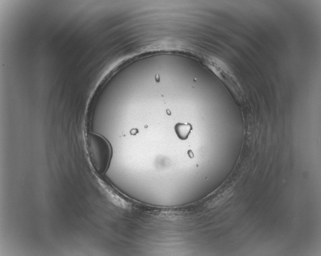 X0000064040942200602101421