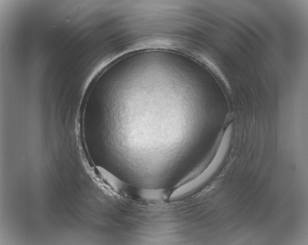 X0000064040944200602101421