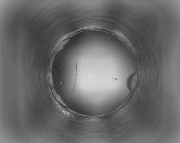 X0000064040945200602101421