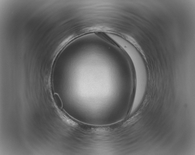 X0000064040946200602101421