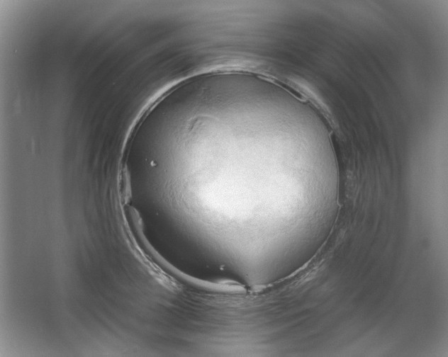 X0000064040948200602101421