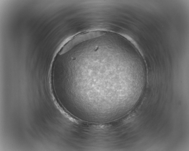 X0000064040949200602101421