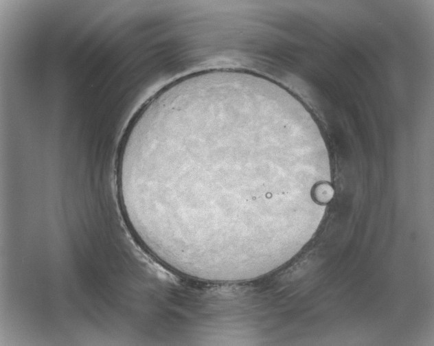 X0000064040950200602101421