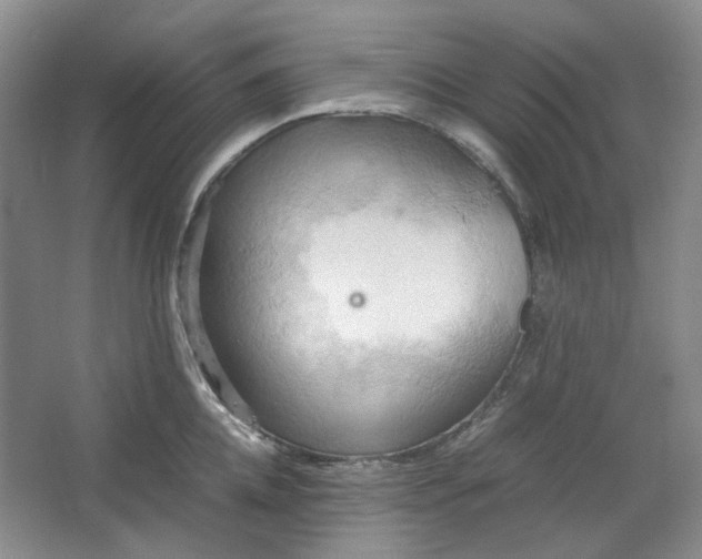 X0000064040952200602101421