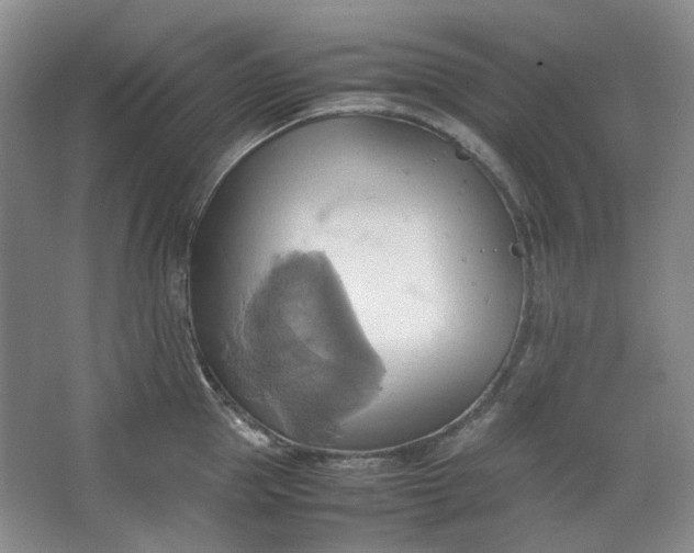 X0000064040953200602101421