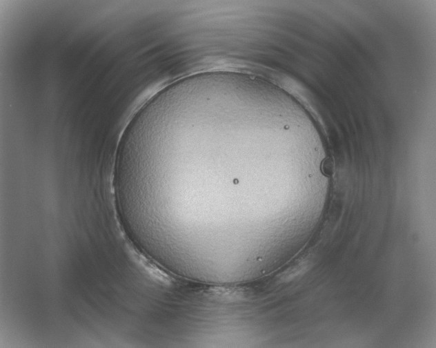 X0000064040954200602101421