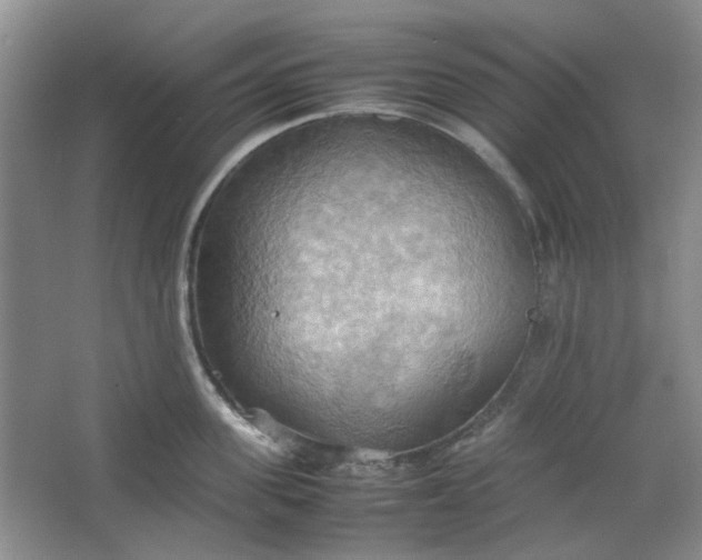 X0000064040955200602101421