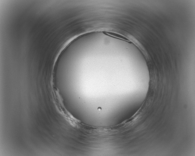 X0000064040956200602101421