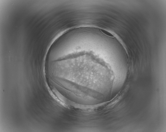 X0000064040957200602101421