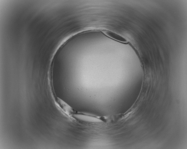 X0000064040958200602101421