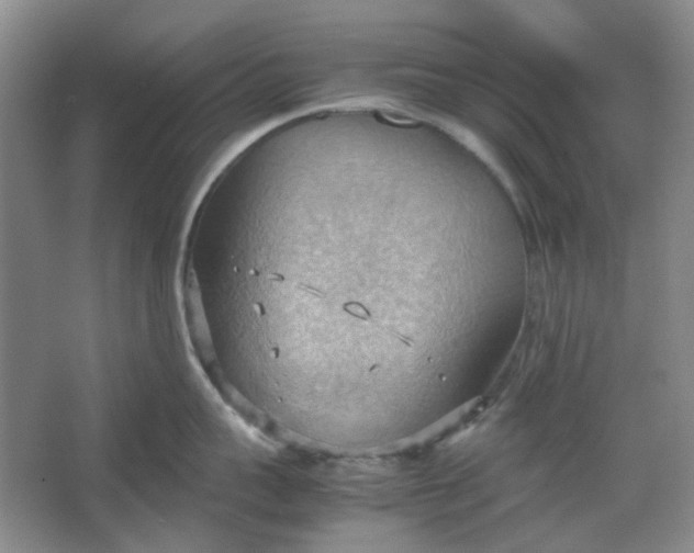 X0000064040959200602101421