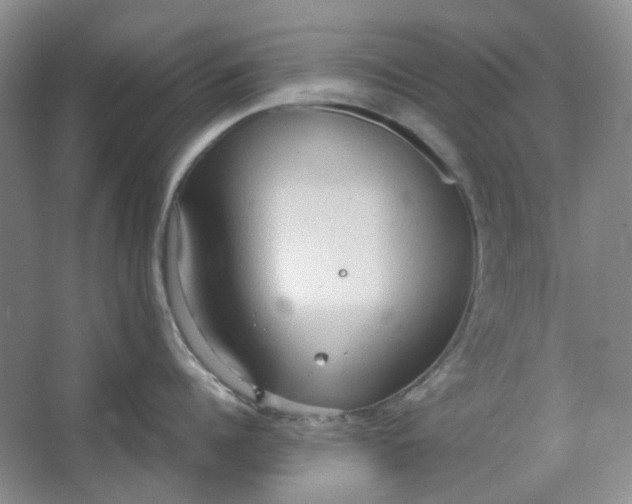 X0000064040960200602101421