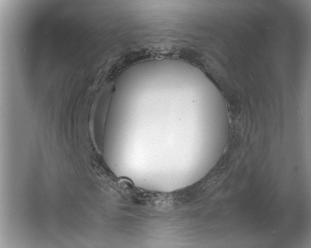 X0000064040961200602101420