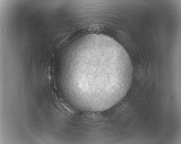 X0000064040962200602101420