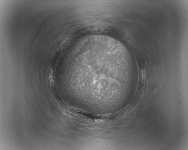 X0000064040963200602101420