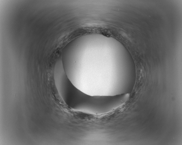 X0000064040965200602101420