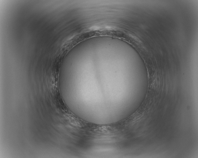 X0000064040966200602101420