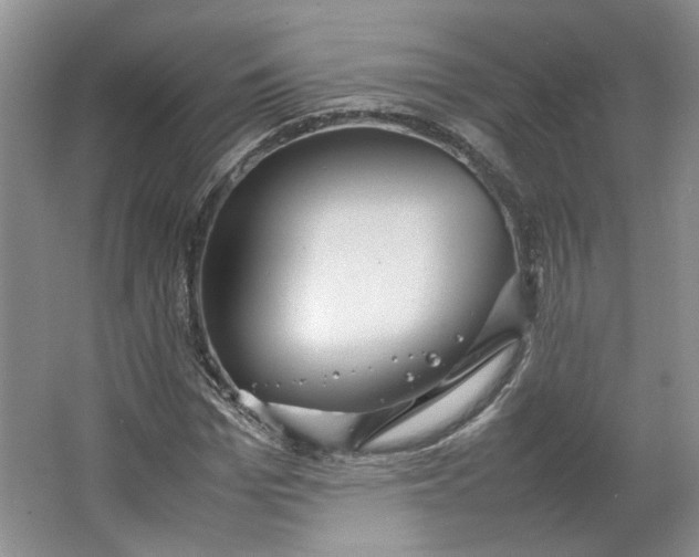 X0000064040969200602101420