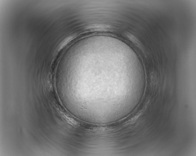 X0000064040970200602101420