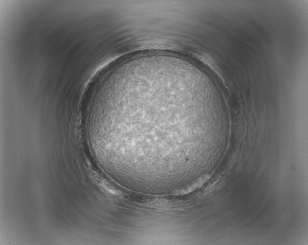 X0000064040971200602101420